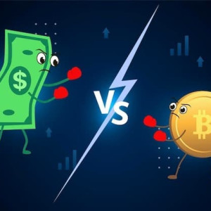 Fiat vs Crypto