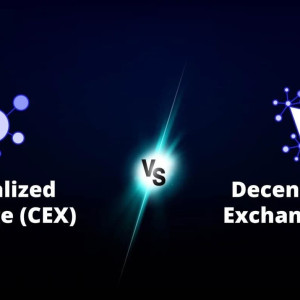 centralized and decentralized exchanges